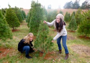 Cutting Christmas Tree at Evergreen Tree Farm