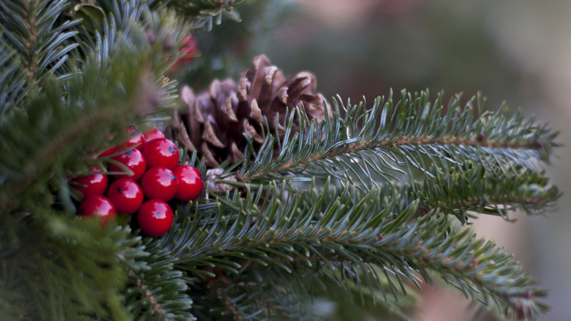 Pine branches Every Soul Acres in Keezletown, VA