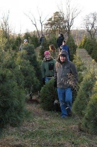 Hauling Christmas Tree at Every Soul Acres Farm