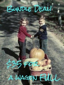 Bundle Deal at Every Soul Acres