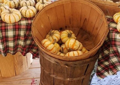 Pumpkins in a Basket at Every Souls Acres