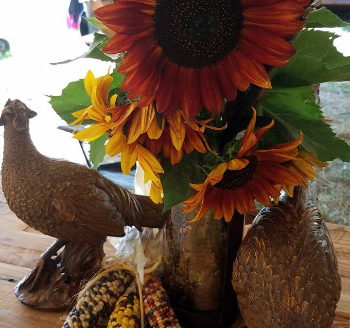 sunflower display Every Soul Acres in Keezletown, VA