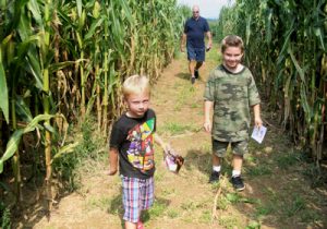 Boys in Maze