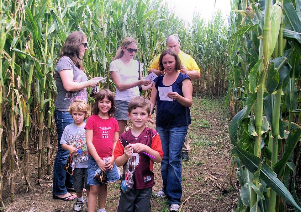 Following the Corn Maze at Every Souls Acres Every Soul Acres in