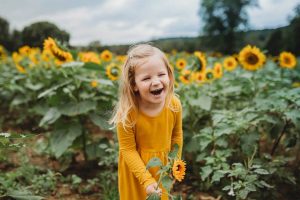 Little Girl Picking sunflowers