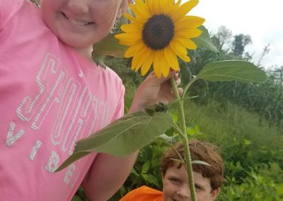 kids picking sunflowers