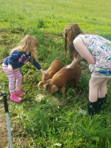 petting the pigs at Every Soul acres