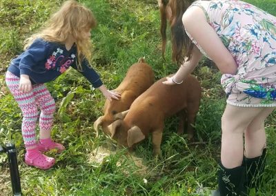 petting the pigs at Every Soul acres