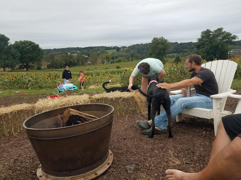 at the firepit Every Soul Acres in Keezletown, VA