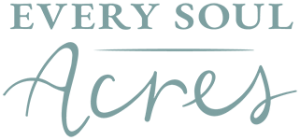 Every Soul Acres