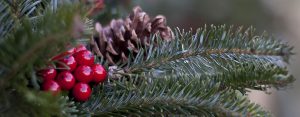 Closeup of wreath with cones and berries - 1420x556