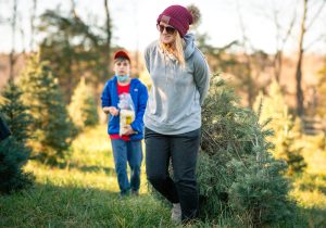 Family carting the Christmas tree they've chosen