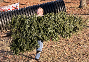 Young girl carrying a tree