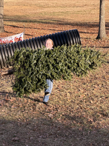 Young girl carrying a tree