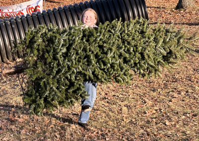 Young girl carrying a tree