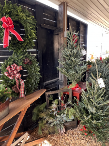 holiday wreaths, tabletop trees and box arrangements